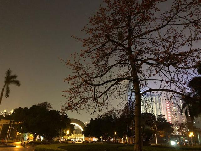 暨南大学广州（这就是暨南大学）(4)