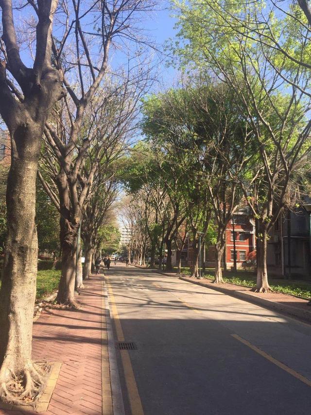 暨南大学广州（这就是暨南大学）(12)