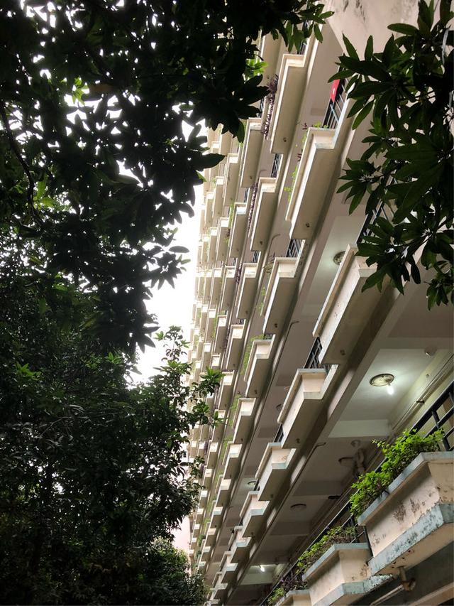 暨南大学广州（这就是暨南大学）(9)