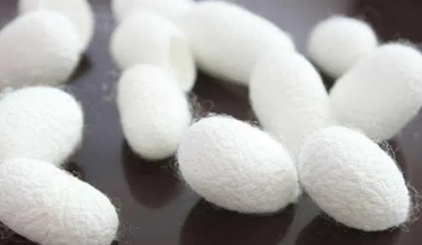 桑蚕丝的优缺点,桑蚕丝的优缺点图1