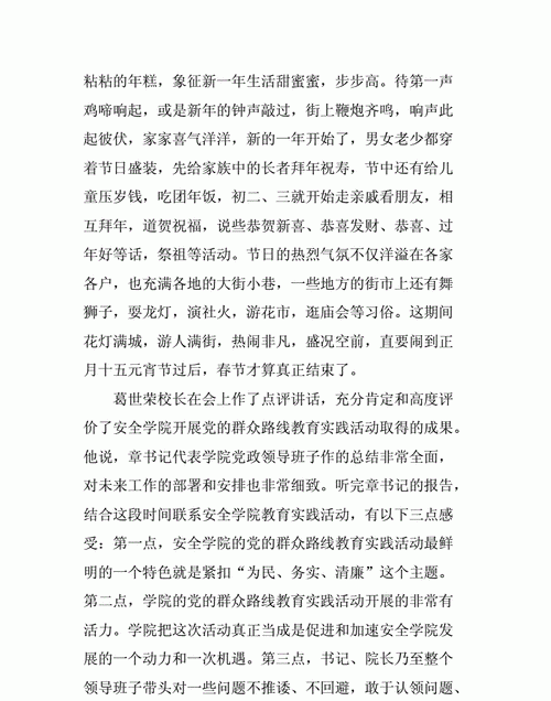 节俭过春节社会实践活动