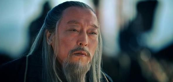 司马懿是怎么死的(诸葛亮战死司马懿)图13