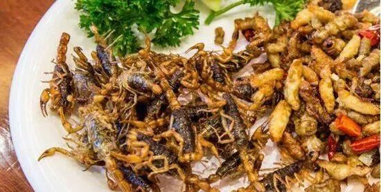 临沂美食，山东临沂的美食有哪些？临沂有好的海鲜店吗？图13