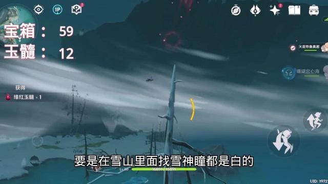 龙脊雪山探索度卡在99%（原神龙脊雪山）(11)