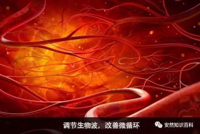 安然纳米公司官方网站网上商城（安然纳米有梦想你就来）(4)
