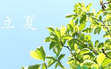今年立夏是几点几分几秒