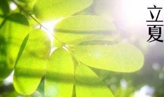 今年立夏是几月几日,2022立夏是几月几日几点立春图3