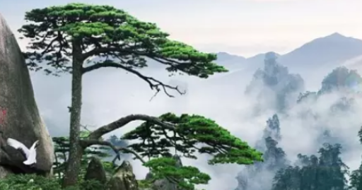 中国的世界文化遗产有哪些 资料,中国十大世界文化遗产有哪些(写地址和文明之处)图3