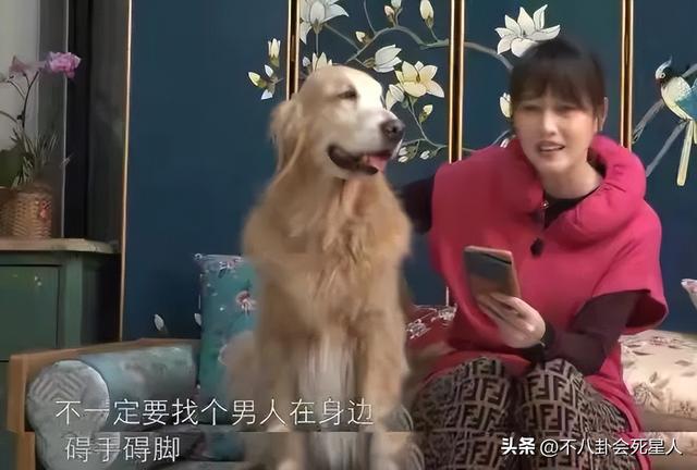 黎明周润发身高对比（7位顶流男星前妻）(29)