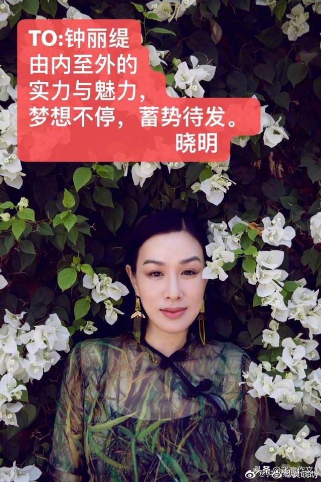 乘风破浪的姐姐30位姐姐同台（乘风破浪的姐姐开播）(28)