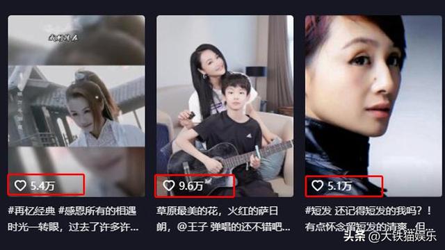 刘烨一共几个小孩（刘烨混血儿子帅）(23)