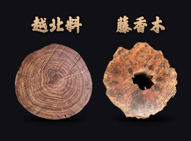 海南黄花梨原木鉴别方法（六个方面教会你鉴别海南黄花梨）(5)