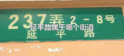 ​延平路属于哪个街道（上海延平路属于什么街道）