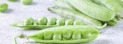 ​豌豆热量高吗，豌豆和绿豆做成的粉丝热量高吗？