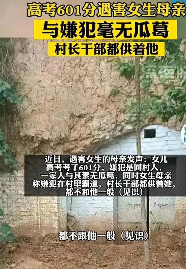 河南高考601分遇害女孩哥哥进展（河南高考601分女生遇害后续）(3)