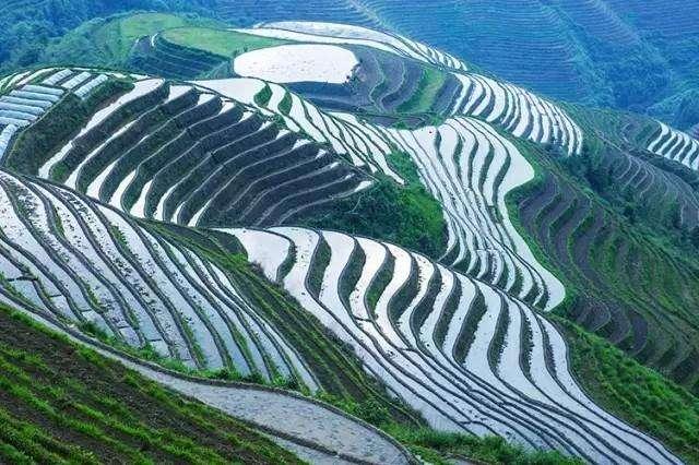 桂林山水的独特风景（桂林山水8大经典景点）(6)
