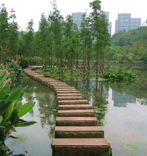 重庆周边湿地公园哪个好玩（重庆超美的湿地公园）(2)