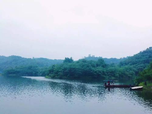 重庆周边湿地公园哪个好玩（重庆超美的湿地公园）(7)