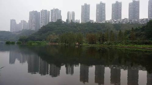 重庆周边湿地公园哪个好玩（重庆超美的湿地公园）(3)