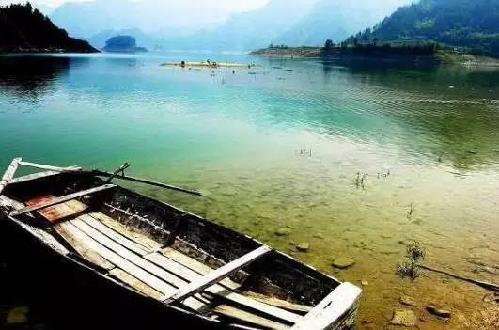 重庆周边湿地公园哪个好玩（重庆超美的湿地公园）(13)
