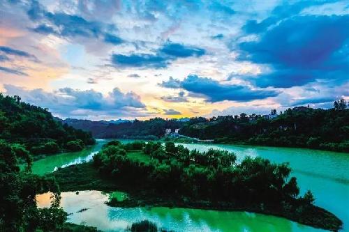 重庆周边湿地公园哪个好玩（重庆超美的湿地公园）(14)