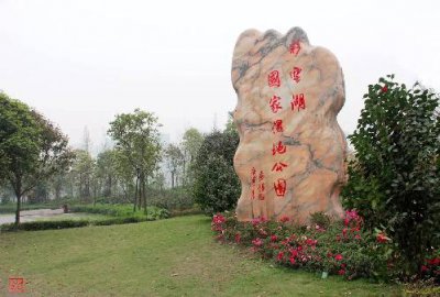 ​重庆周边湿地公园哪个好玩（重庆超美的湿地公园）