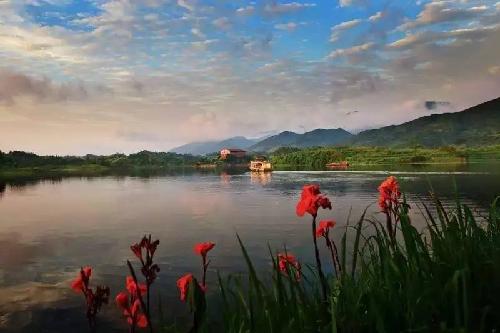 重庆周边湿地公园哪个好玩（重庆超美的湿地公园）(9)