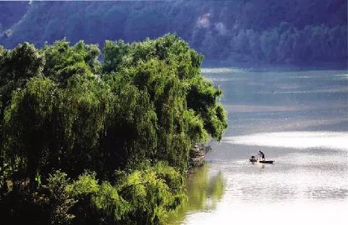 重庆周边湿地公园哪个好玩（重庆超美的湿地公园）(12)