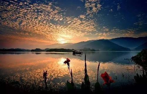 重庆周边湿地公园哪个好玩（重庆超美的湿地公园）(10)