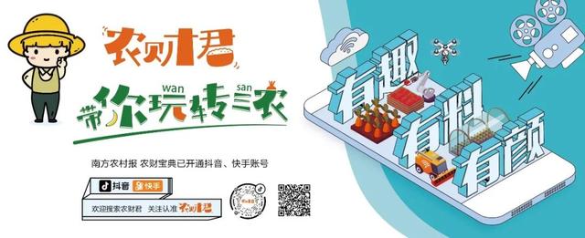 农业补贴都有哪些项目（这么多农业补贴项目）(1)