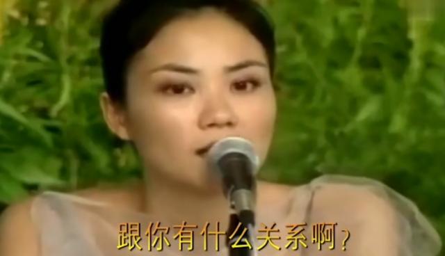 那英隔空指点章子怡（那英嘲讽章子怡是花瓶）(7)