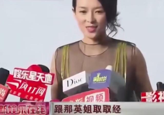 那英隔空指点章子怡（那英嘲讽章子怡是花瓶）(5)