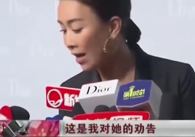 那英隔空指点章子怡（那英嘲讽章子怡是花瓶）(3)