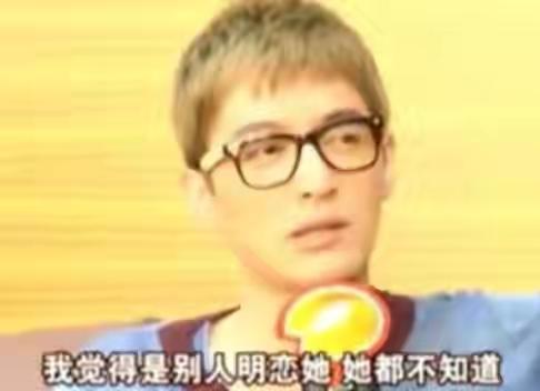 刘诗诗刚出道的颜值（刘诗诗的逆袭情史）(14)