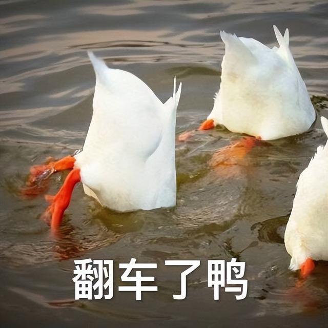 演员王东个人简历（孩子未满1岁就多次失联）(43)