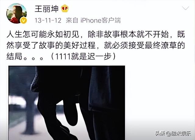 乔振宇王丽坤同框（34被骗191万）(27)