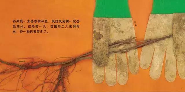 成年人绘本推荐（原来你喜欢的那些绘本是这样做出来的呀）(42)