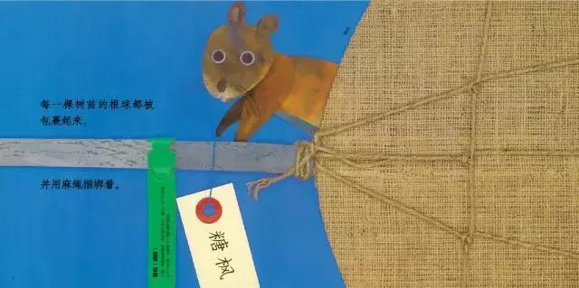 成年人绘本推荐（原来你喜欢的那些绘本是这样做出来的呀）(41)