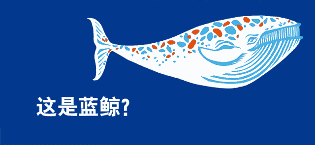 成年人绘本推荐（原来你喜欢的那些绘本是这样做出来的呀）(23)