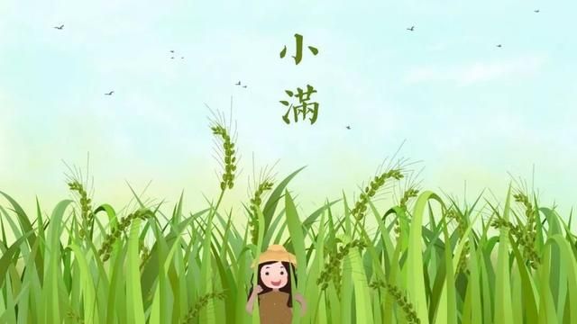 小满经典诗句，关于小满的诗句有哪些？图3