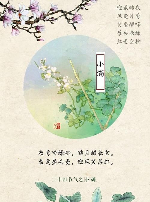 入夏小满雨连连的诗句