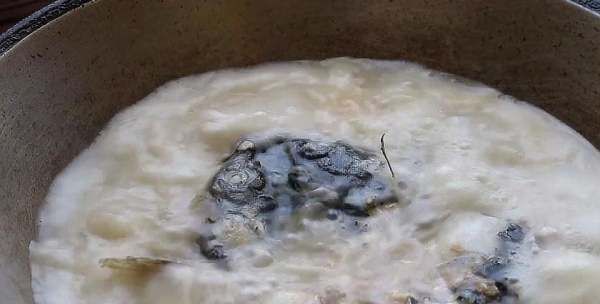 怎样炖鱼头不腥又好吃,鱼头汤怎么做才不腥而且汤白图3