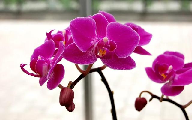 昆明必打卡30个地方（昆明最值得打卡的100个地方）(31)