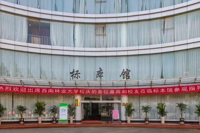 昆明必打卡30个地方（昆明最值得打卡的100个地方）(39)