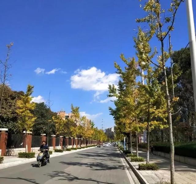 昆明必打卡30个地方（昆明最值得打卡的100个地方）(72)