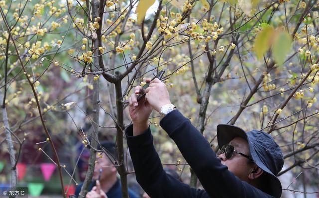 昆明必打卡30个地方（昆明最值得打卡的100个地方）(47)
