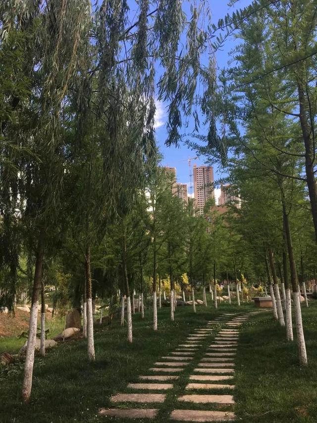 昆明必打卡30个地方（昆明最值得打卡的100个地方）(6)
