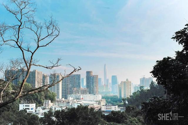 深圳哪里最多本地人（深圳原来这么大大大大大）(37)