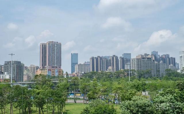 深圳哪里最多本地人（深圳原来这么大大大大大）(88)