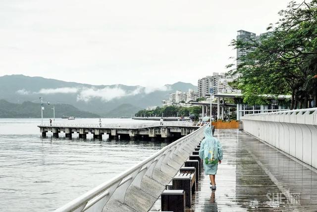 深圳哪里最多本地人（深圳原来这么大大大大大）(92)